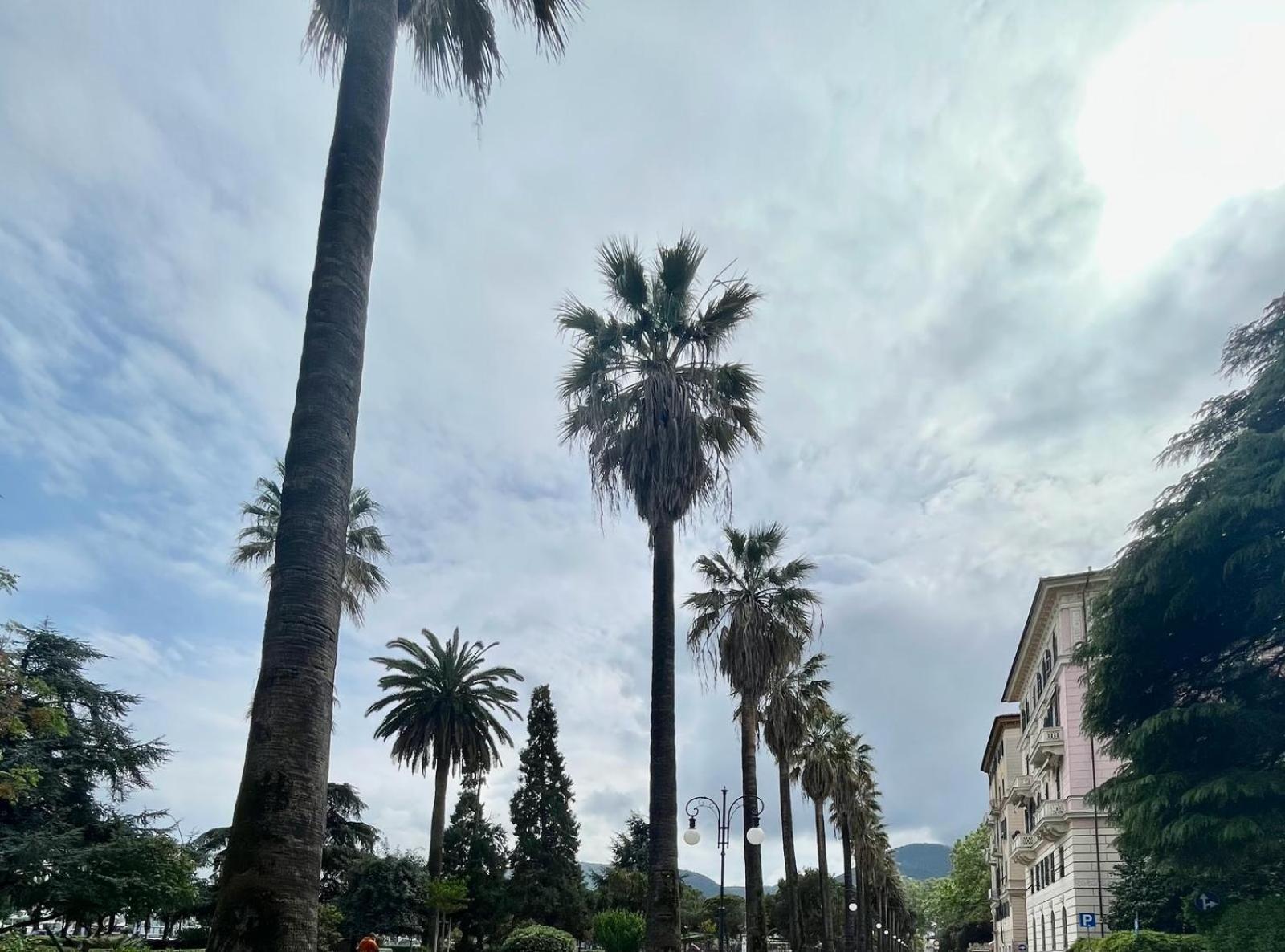 Breathe Liguria - Lucy 1 Bedroom And 1 Apartment In A Newly Renovated Nineteenth-Century Building In The Historic Center Near The Sea ラ・スペツィア エクステリア 写真